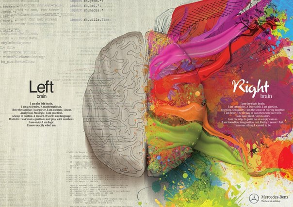 левое и правое полушарие мозга