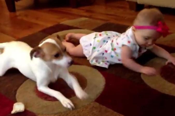 собака учит ребенка ползать